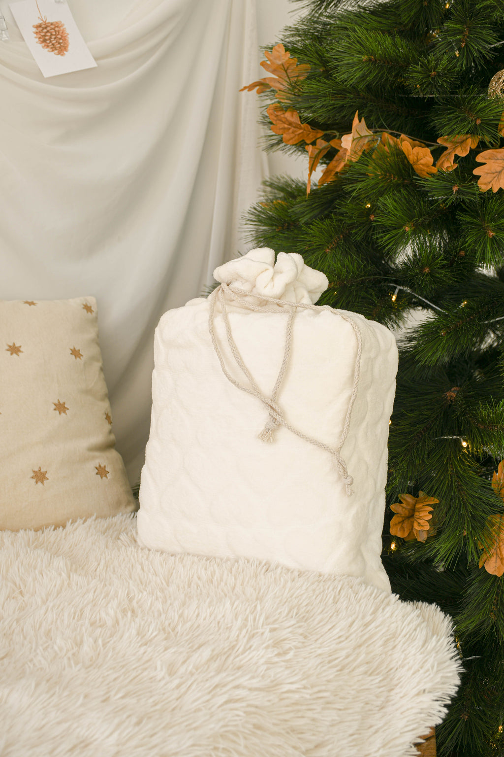 Manta con bolsa premium